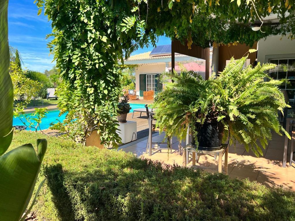 Buganvilias Do Meco Guest House Sesimbra Bagian luar foto
